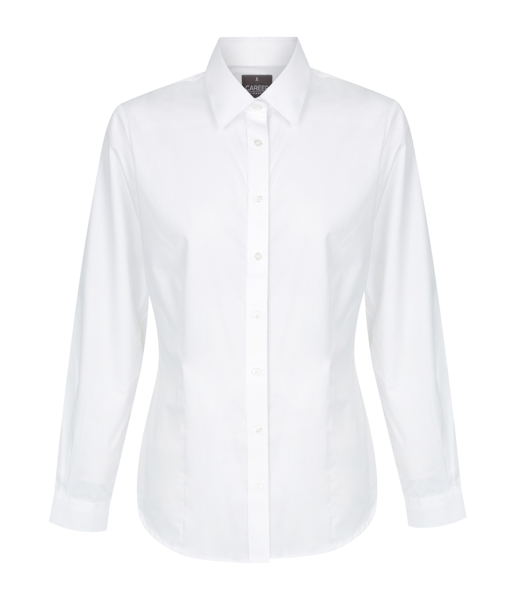 Picture of Ladies Premium Poplin Long Sleeve Shirt (Slim Fit)